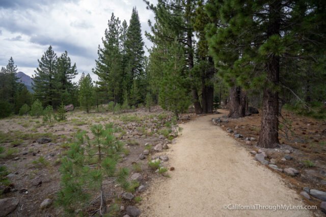 Devastated Area Trail in Lassen Volcanic National Park — Flying Dawn Marie