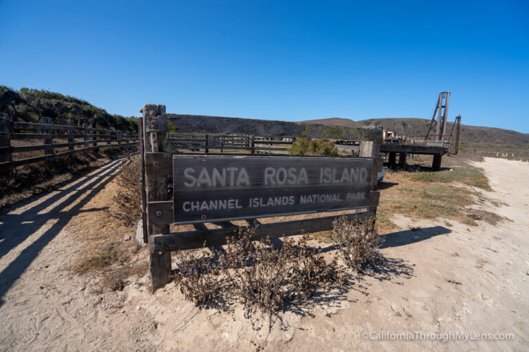Santa Rosa Island Day Trip: Channel Island National Park - California ...