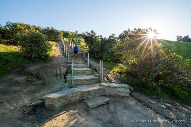 Baldwin Hills Scenic Overlook & the Culver City Stairs