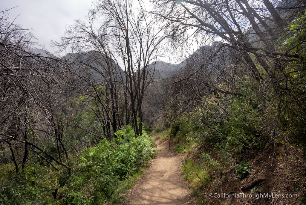 Rose Valley Falls Trail A Nice Waterfall Outside of Ojai California