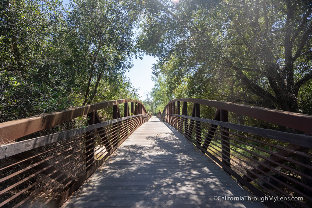 Biking from Ojai to Ventura on the Ojai Valley Trail California