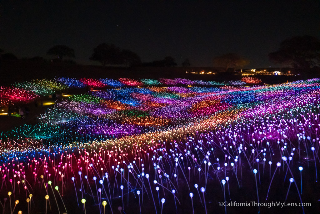Sensorio Field of Light Art Exhibit in Paso Robles California Through