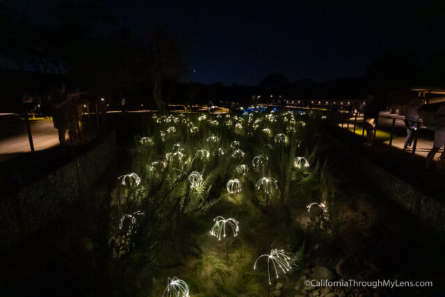 Sensorio Field of Light Art Exhibit in Paso Robles - California