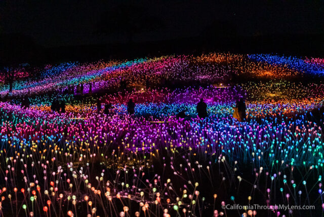 Sensorio Field of Light Art Exhibit in Paso Robles - California Through My  Lens