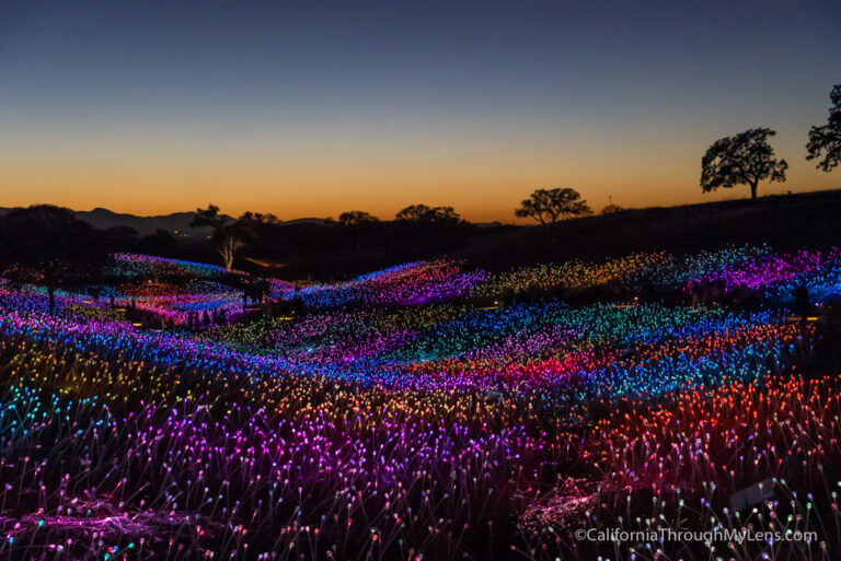 Sensorio Field of Light Art Exhibit in Paso Robles