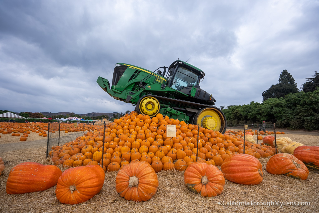 5 Great Southern California Pumpkin Patches To Visit Near Los Angeles ...