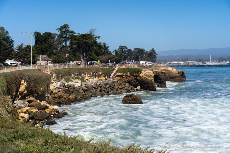 Santa Cruz City Guide: Hiking, Restaurants, Beaches & Museums