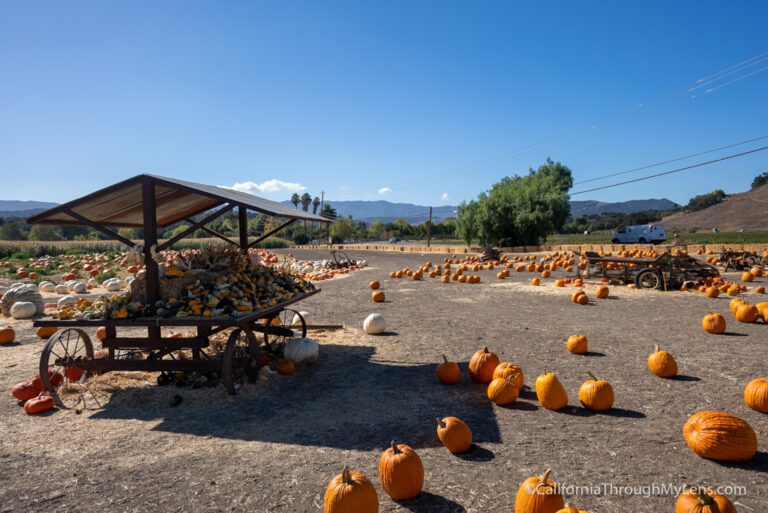 Solvang Farmer Pumpkin Patch In California's Danish Town - California ...