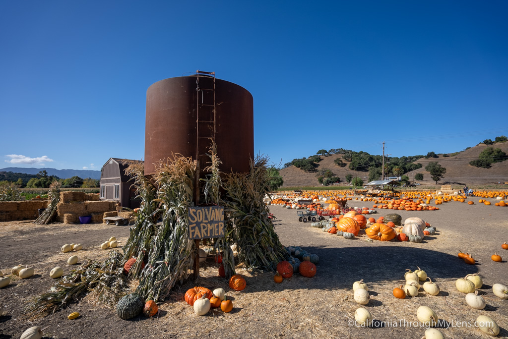 Solvang Farmer Pumpkin Patch in California's Danish Town California