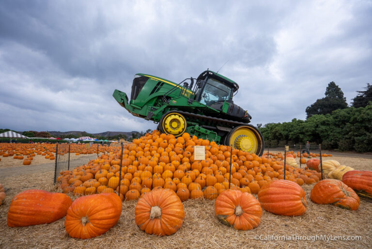 Underwood Family Farms: Halloween Pumpkin Patch and Fall Harvest Festival in Moorpark