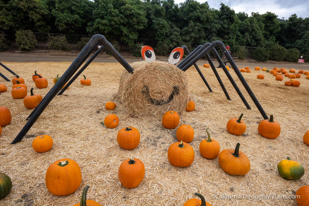 Underwood Family Farms Halloween Pumpkin Patch and Fall Harvest