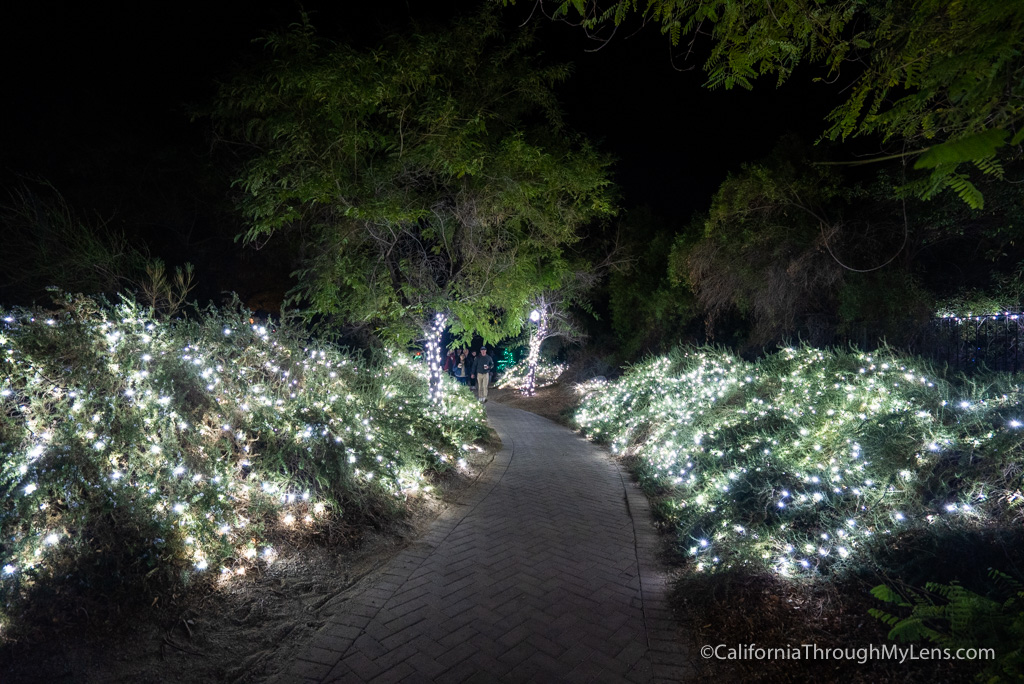 Wild Lights at The Living Desert Zoo and Gardens California Through