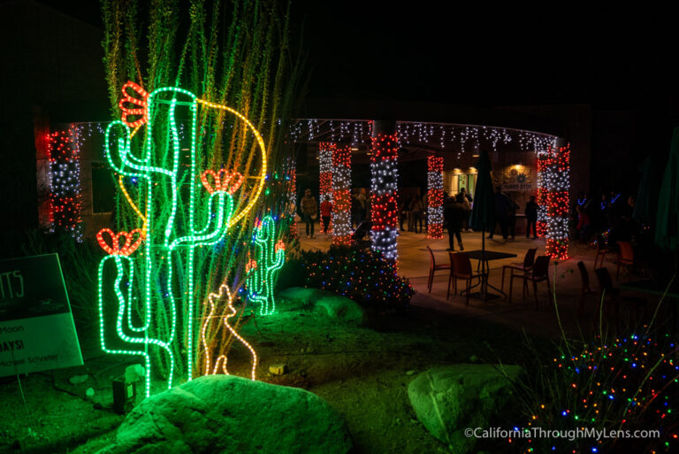 Wild Lights at The Living Desert Zoo and Gardens California Through