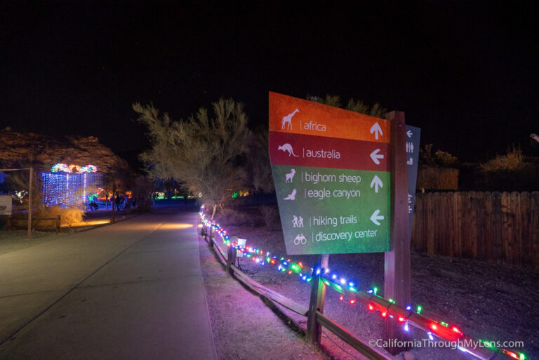 Wild Lights at The Living Desert Zoo and Gardens California Through