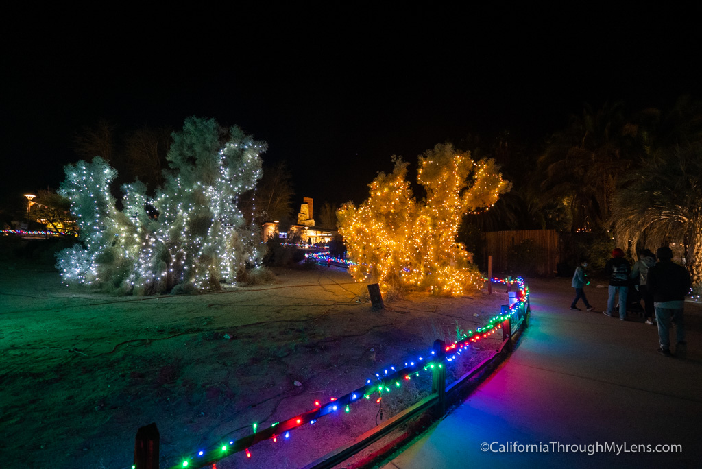 Wild Lights at The Living Desert Zoo and Gardens California Through