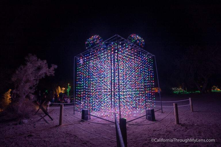 Wild Lights at The Living Desert Zoo and Gardens California Through