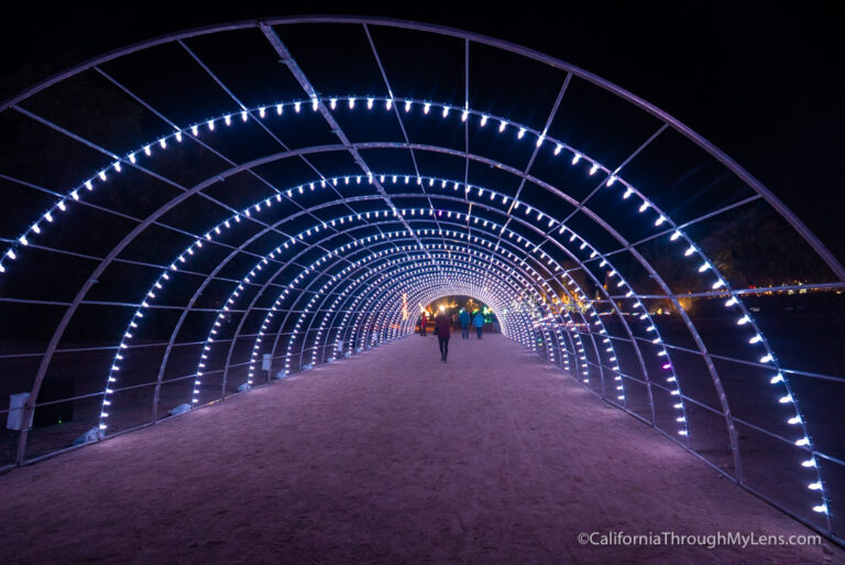 Wild Lights at The Living Desert Zoo and Gardens