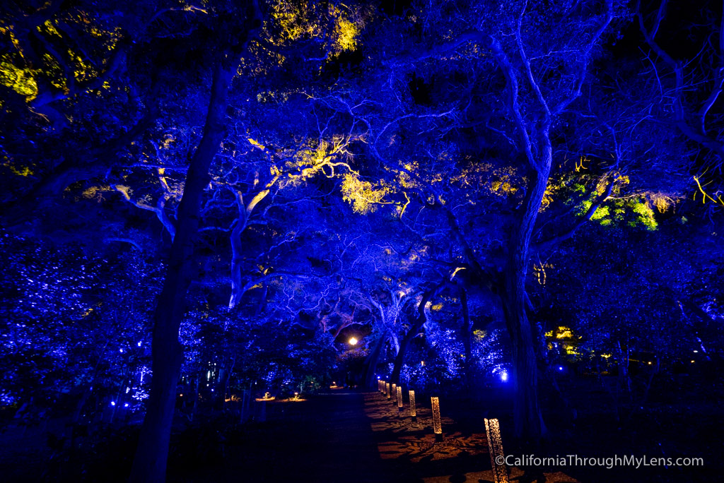 Descanso Gardens Enchanted Forest of Lights Christmas Lights Display