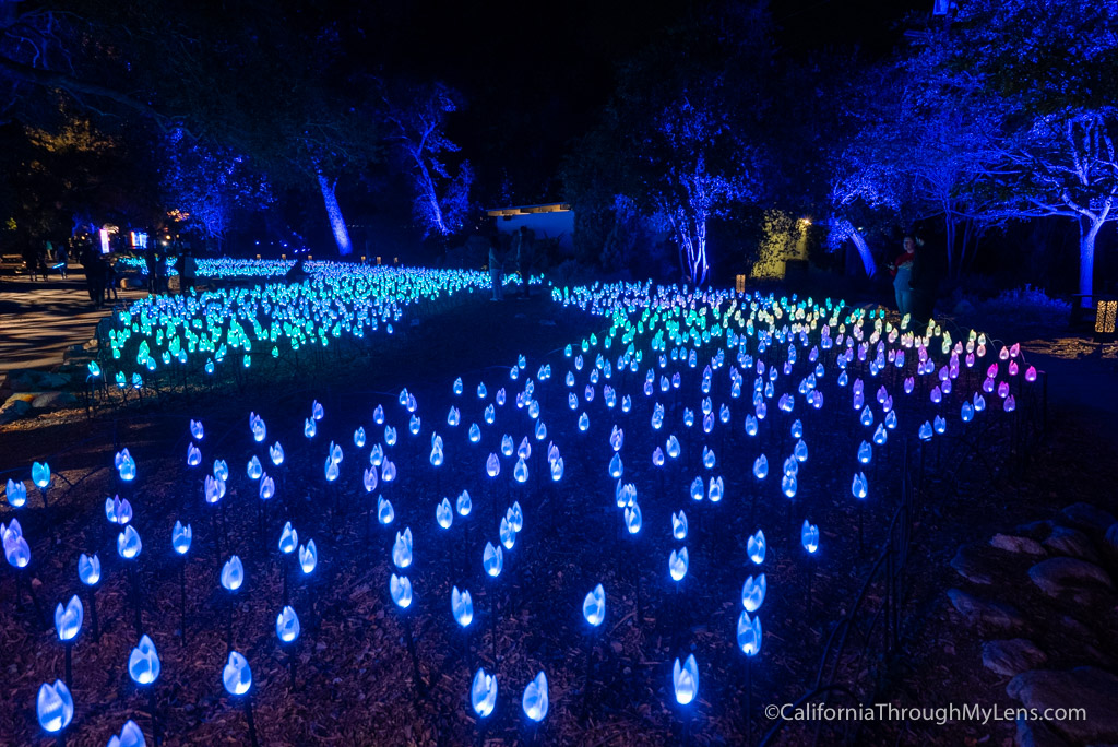 Descanso Gardens Enchanted Forest of Lights Christmas Lights Display