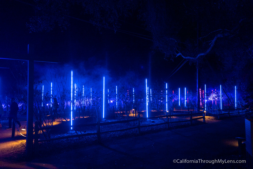 Descanso Gardens Enchanted Forest of Lights Christmas Lights Display