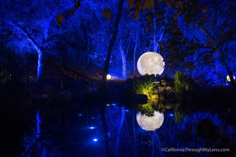 Descanso Gardens: Enchanted Forest of Lights Christmas Lights Display