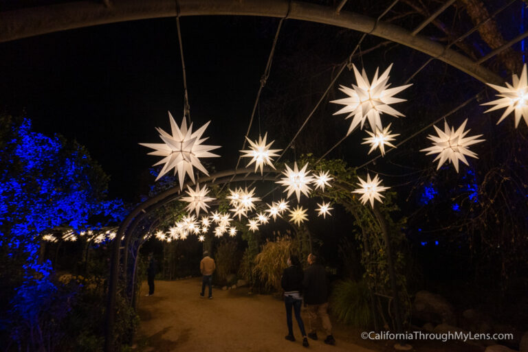 Descanso Gardens Enchanted Forest of Lights Christmas Lights Display