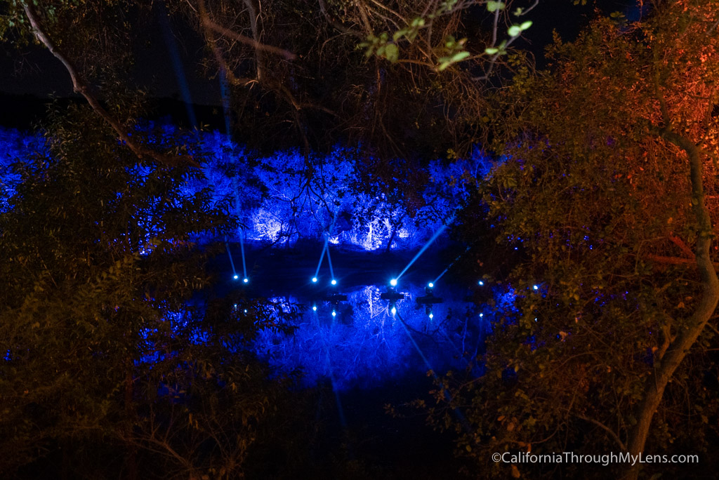 Descanso Gardens Enchanted Forest of Lights Christmas Lights Display