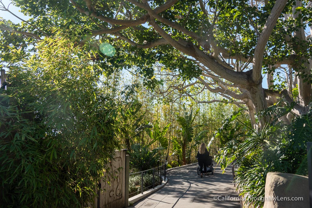Santa Barbara Zoo One of the Better Small Zoos in California