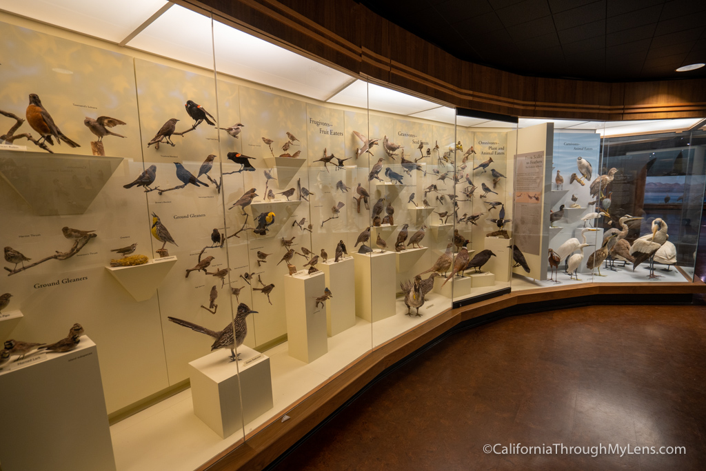 Santa Barbara Museum of Natural History - California Through My Lens