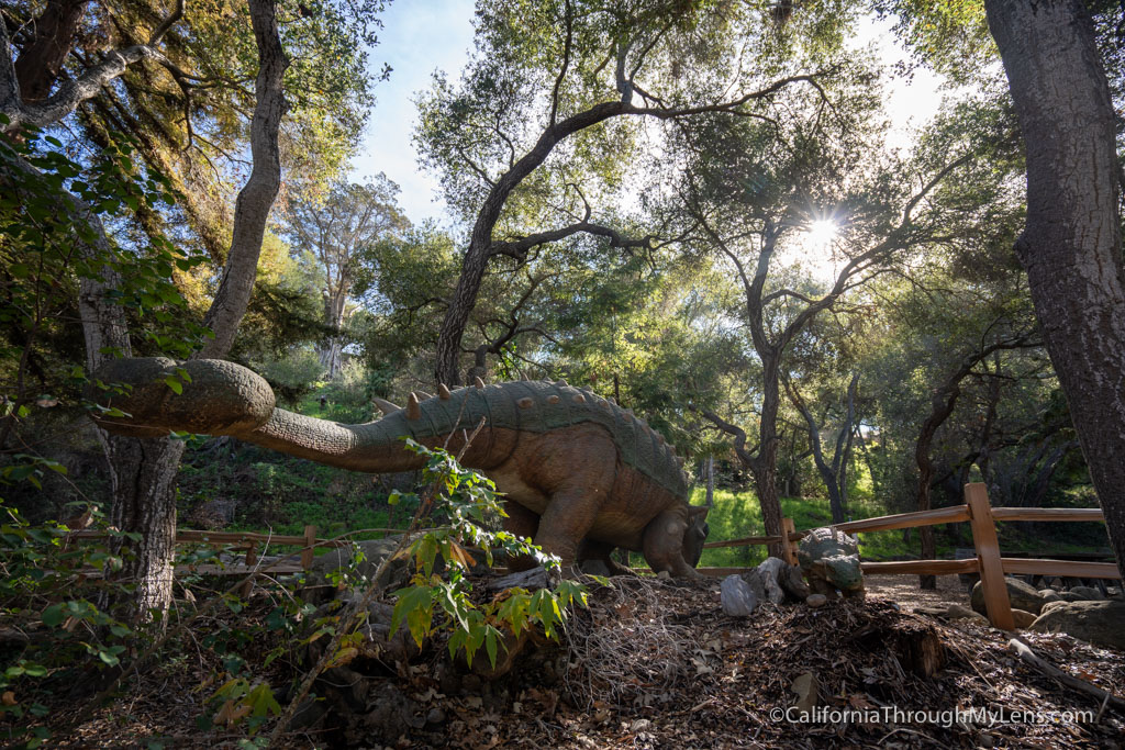 Santa Barbara Museum Of Natural History - California Through My Lens