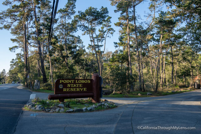 Point Lobos State Natural Reserve