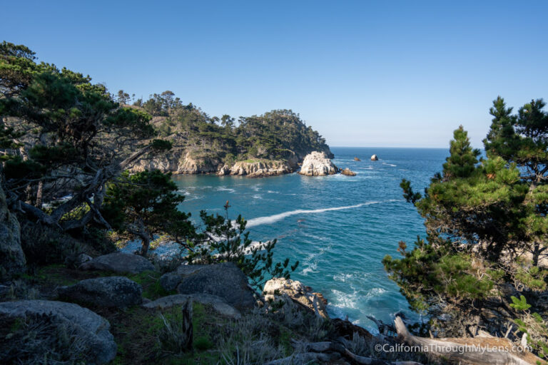 Point Lobos State Natural Reserve: Stunning Coastline, Cypress Groves & Elephant Seals