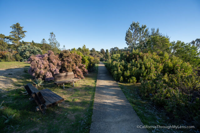 visit monterey or santa cruz