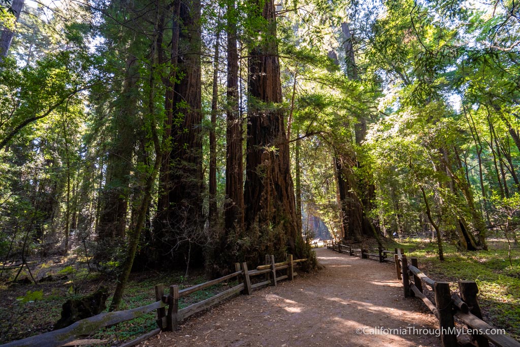 13 Things to do in Santa Cruz - California Through My Lens