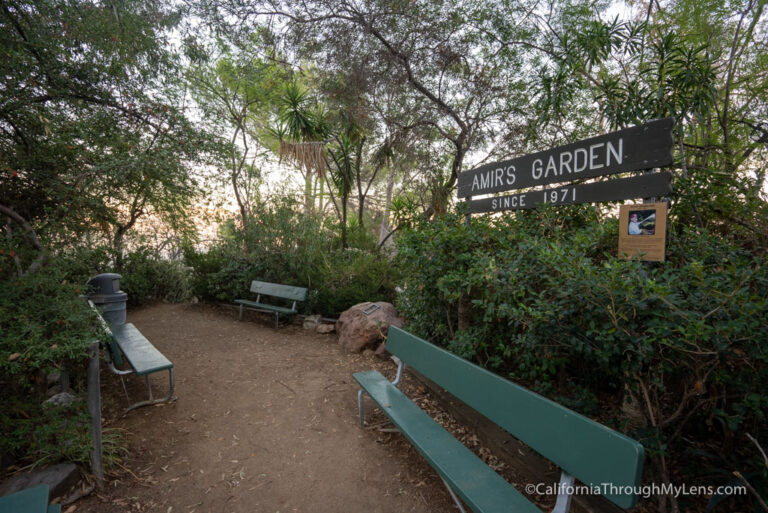 Amir’s Garden Trail in Griffith Park