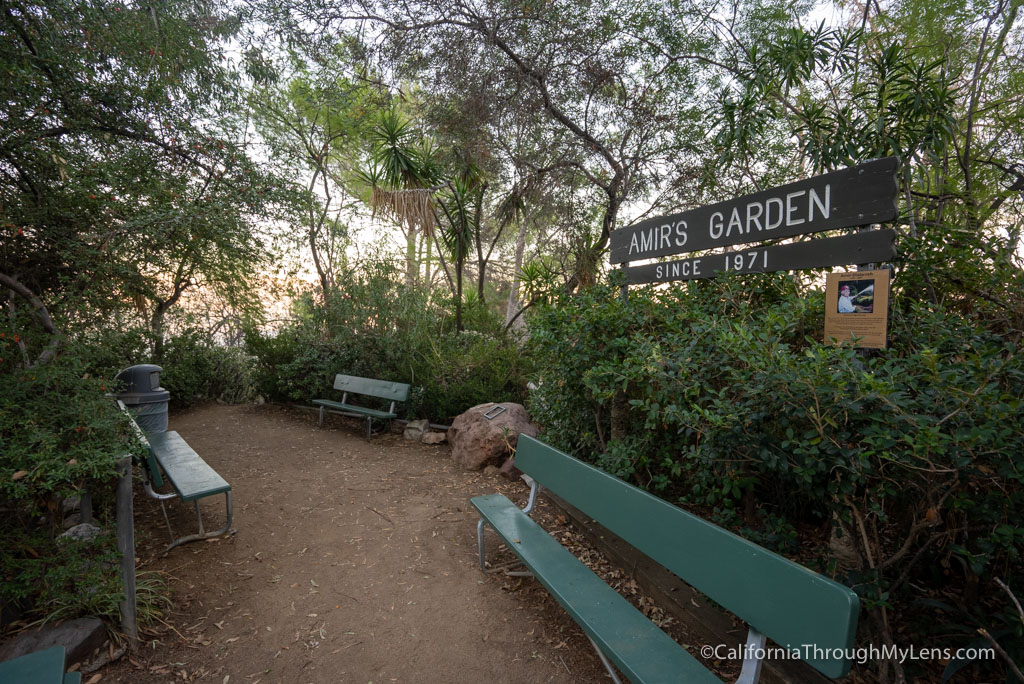 Amir’s Garden Trail in Griffith Park