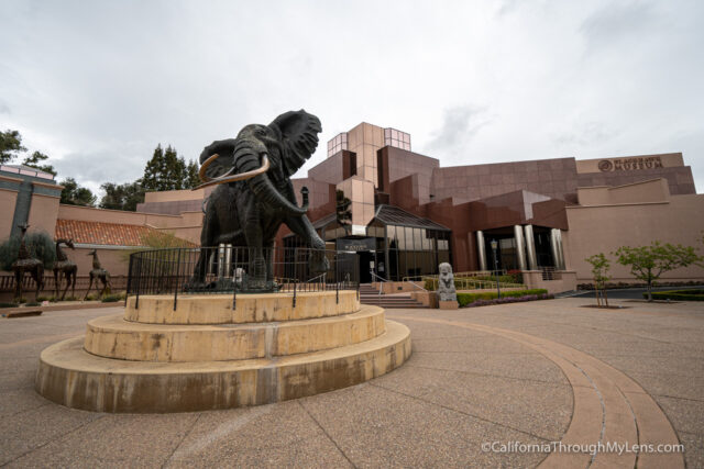 Blackhawk Museum in Danville: One of California's Best Museums ...