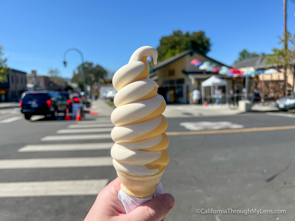 Meadowlark Dairy Delicious Ice Cream in Pleasanton California