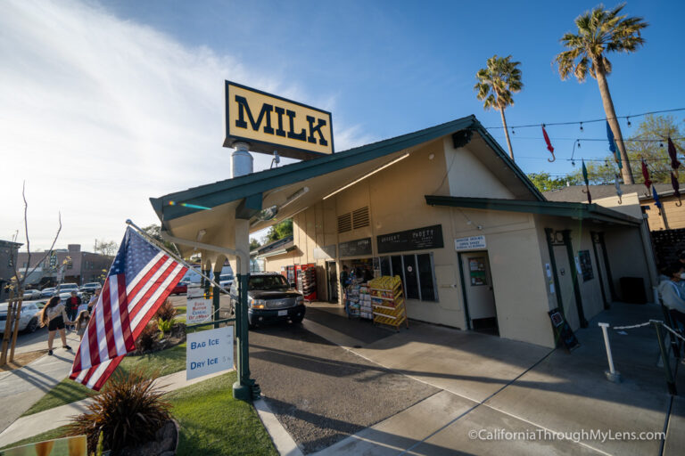 Meadowlark Dairy Delicious Ice Cream in Pleasanton California