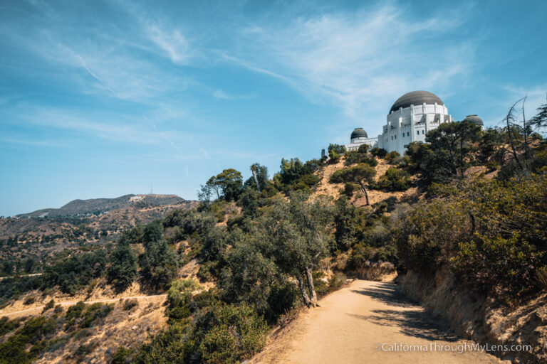Ferndell Trail To Griffith Observatory: A Hidden Gem In Los Angeles