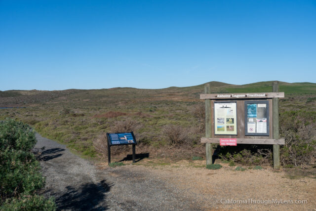 Abbotts Lagoon Trail: A Nice Escape to the Tranquil Side of Point Reyes ...