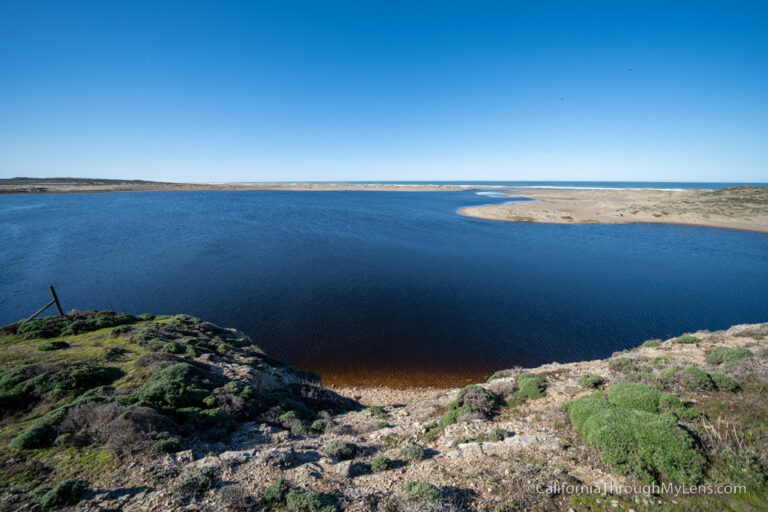 Abbotts Lagoon Trail: A Nice Escape to the Tranquil Side of Point Reyes