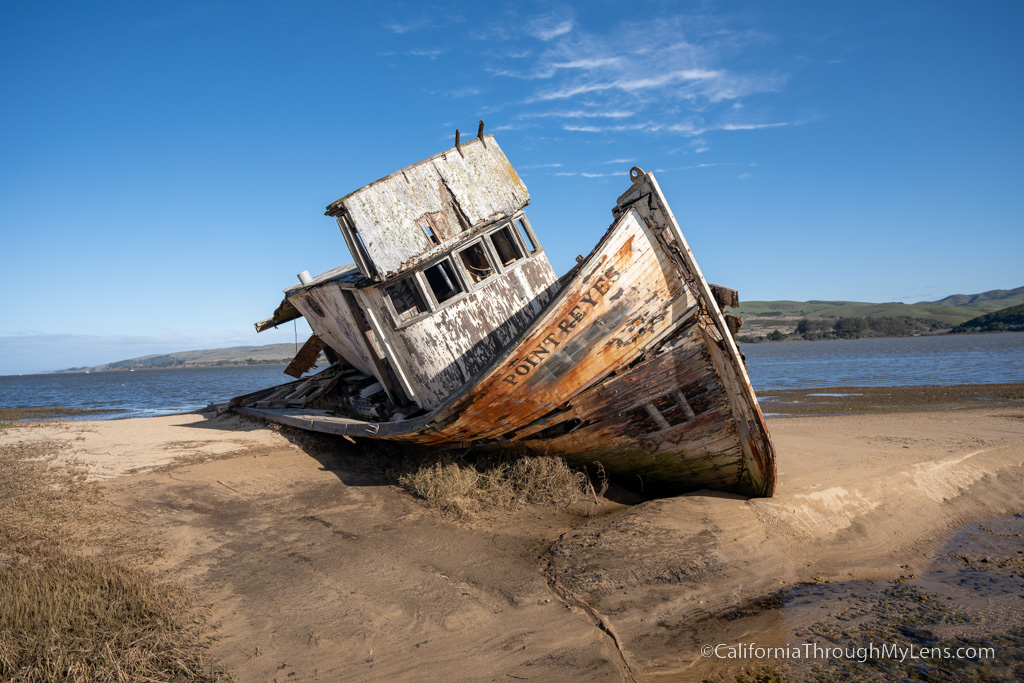 point reyes national seashore tours