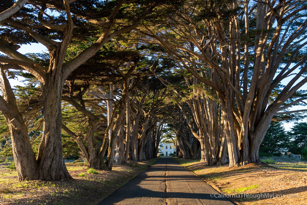 point reyes national seashore tours