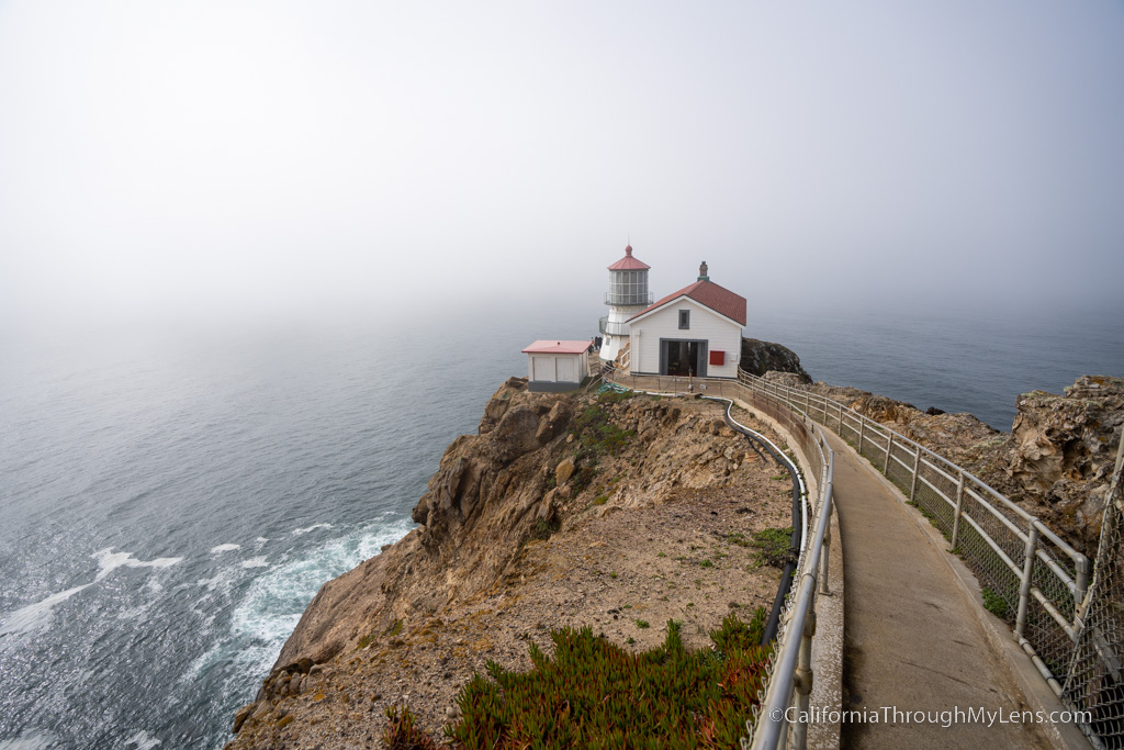 point reyes national seashore tours