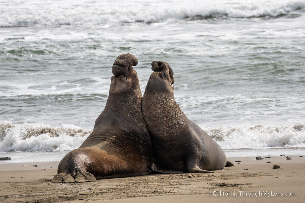 point reyes national seashore tours