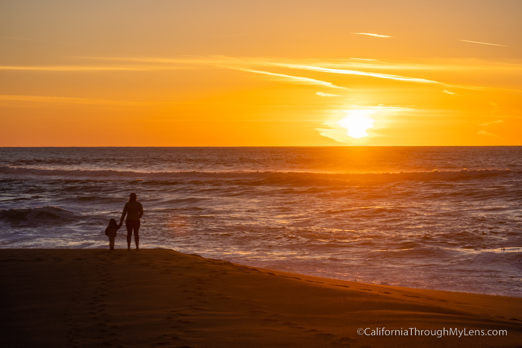 point reyes national seashore tours