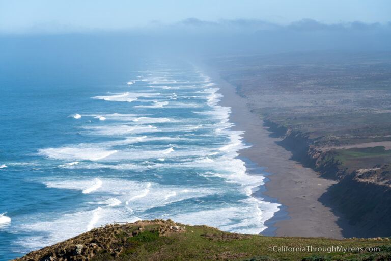 How to spend the perfect day in Point Reyes National Seashore (Full Itinerary)