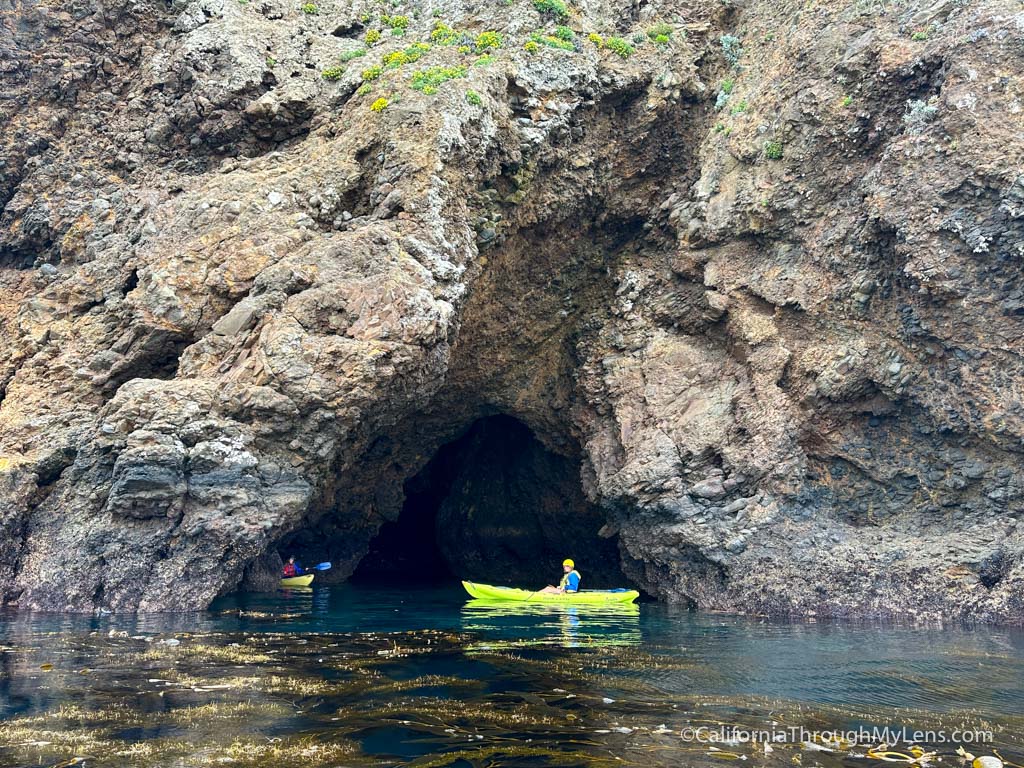 kayak tour santa cruz island