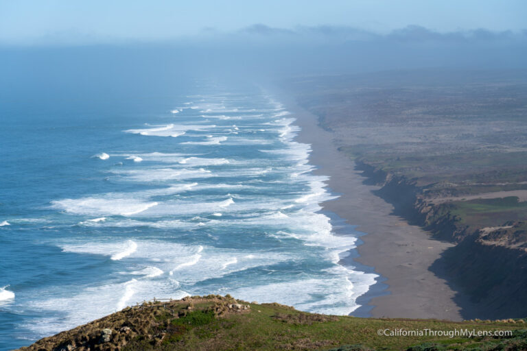 11 Things to do at Point Reyes National Seashore